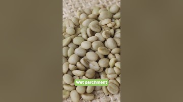 These are the 5 stages of coffee processing. #coffee #coffeebeans #Kenya