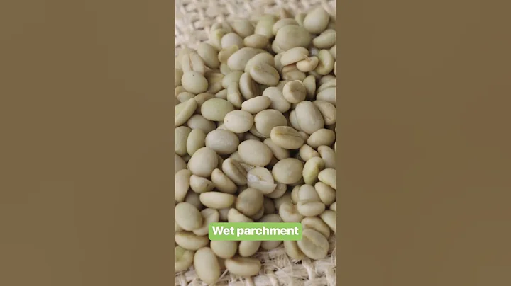 These are the 5 stages of coffee processing. #coffee #coffeebeans #Kenya