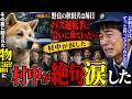 野良の秋田犬は毎日バス運転手に会いに来ていた…。その裏に隠された物語に、村中が涙した。