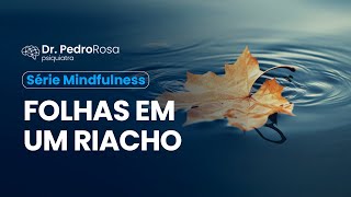 Celebrity Série Mindfulness - Folhas em um Riacho | Dr. Pedro Rosa Wealth