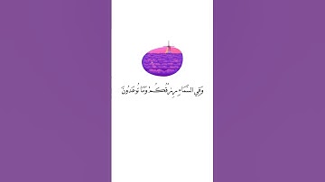وفي السماء رزقكم وما توعدون أجمل حالات واتساب قران كريم 💛🌿