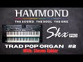 SkxPRO•Traditional Hammond Pop Demo #2-Steven Eaklor