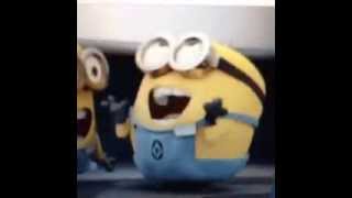That Feeling Before the Beat Drops - Vine Videos