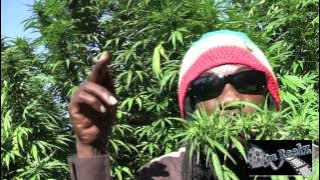 Marlon Asher - Ganja Cowboy [ VIDEO] By TRU REELZ PROD.