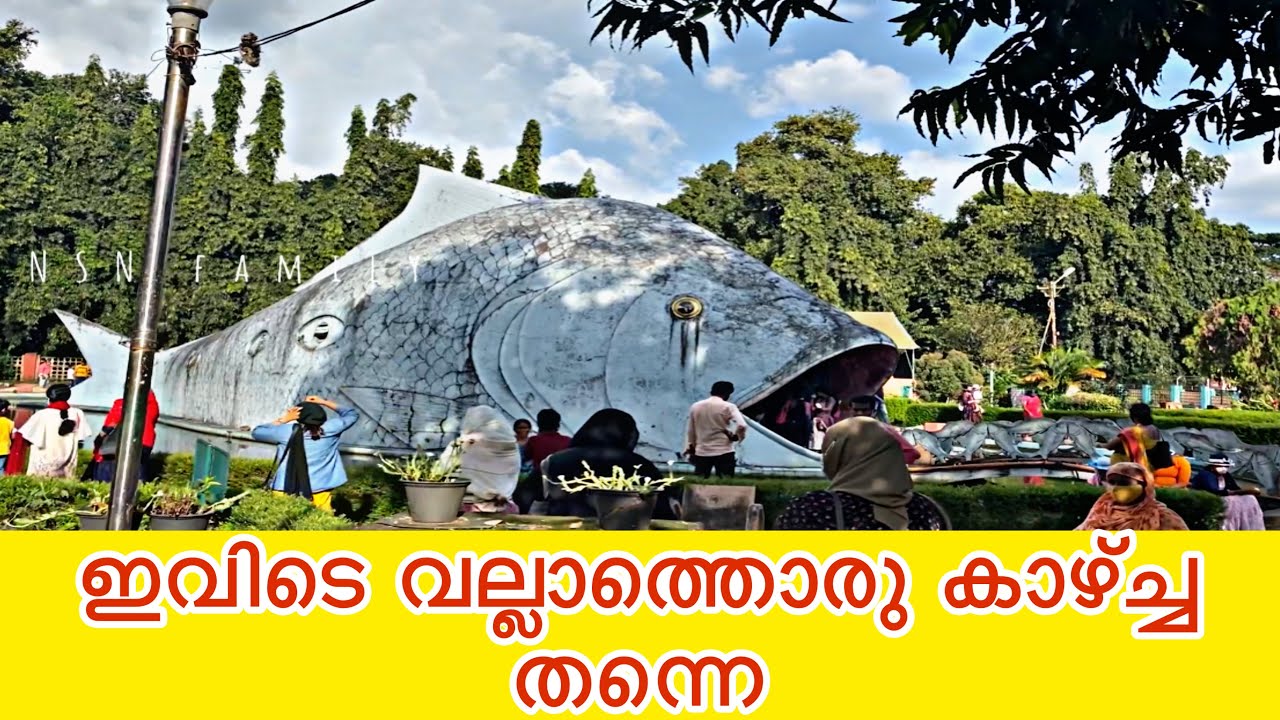 Malambuzha ropeway/malambuzha dam/malambuzha garden/malambuzha family trip