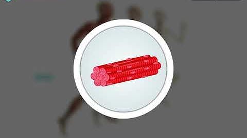 Incredible Science Class 5 - Chapter 7 - Page 77