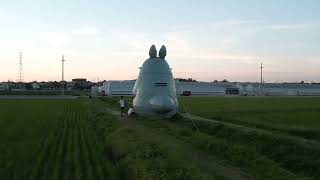 トトロ2 - YouTube