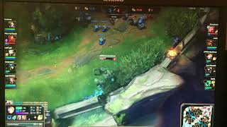 Kör Ve Felçli Goril Çekerdi.