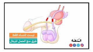 ليست للنساء فقط: طرق منع الحمل للرجال