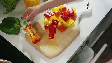 TERRO®: Innovative Home Insect Control