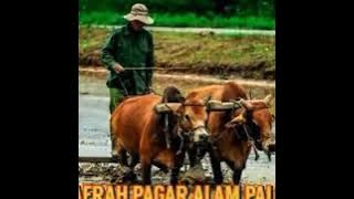 Pencemburu Setengah Mati, Lagu Daerah Pagar Alam Semsel