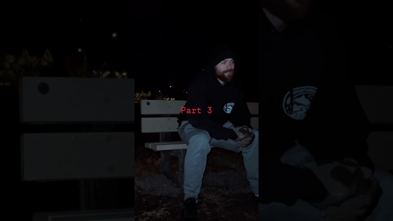 The dogs wanted to say hi part 3/3