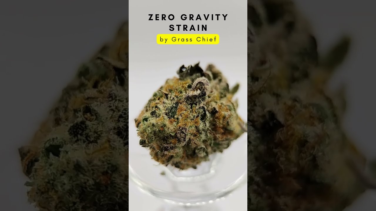 Explore Zero Gravity by Grass Chief
