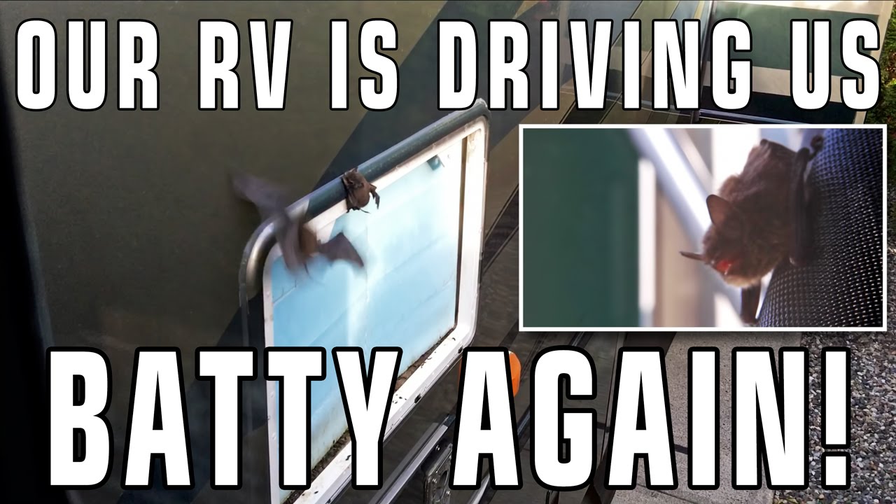 Our RV is Driving Us Batty... Again! - YouTube