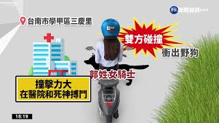 閃路邊竄出野狗 騎士摔車'腦出血'昏迷｜華視新聞 20220627