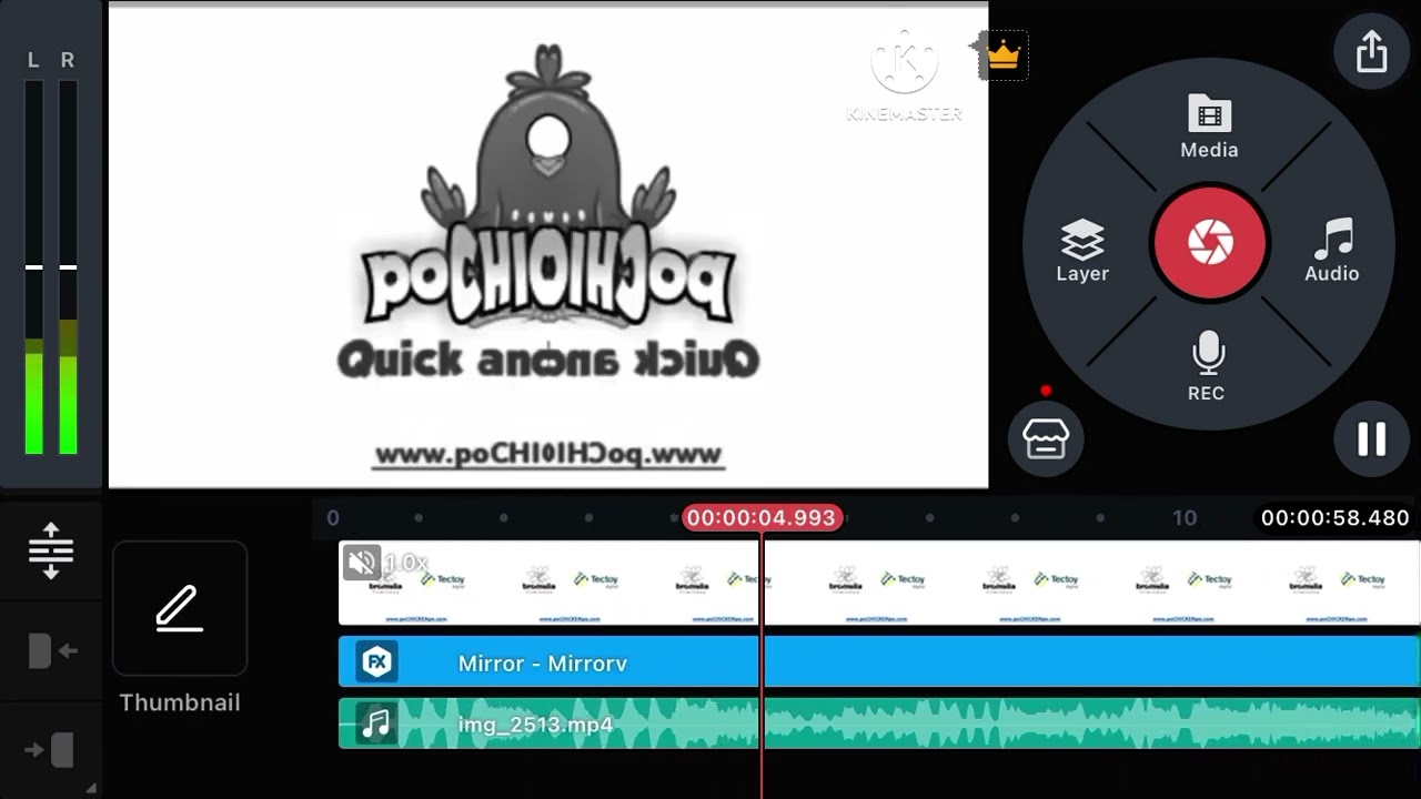 How To Make Invert Black and White +12 Pitch Reversed + CoNfUsIoN on KineMaster