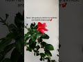 Hehehe See This PlsтШ я ПЁЯТЮ Song Newmusic Remix Hehehe See This PlsтШ я ПЁЯТЮ Song Newmusic Remix