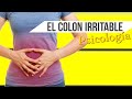 Colon Irritable: Aspectos Psicológicos