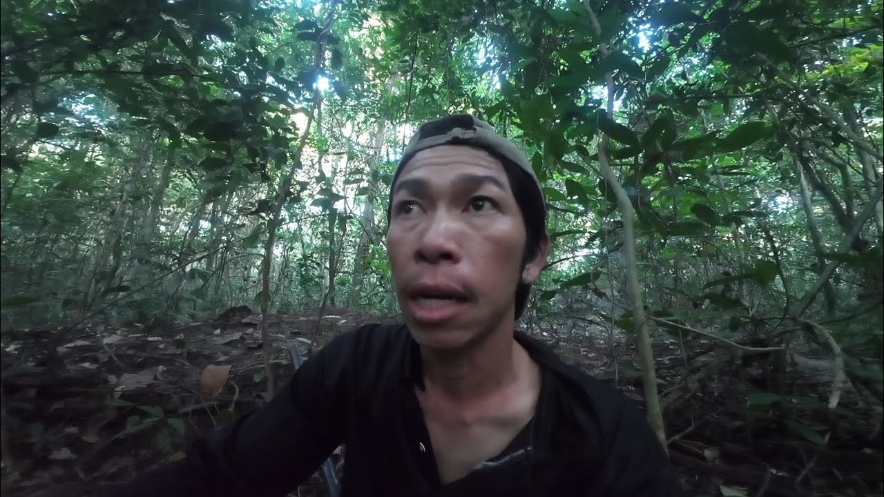 เข้าป่าคนเดียวยิงหมูป่ากินหมากกระบก