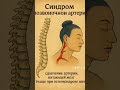 🌀 Синдром позвоночной артерии #тибетскаямедицина #тибетская #победитьстресс #здоровье