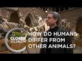 How do Humans Differ from Other Animals? | Episode 1202 | Closer To Truth