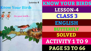 know your birds|class 3|lesson 4|page53-66|butterfly|english|solved|all activities|@psstudyhouse 