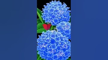اجمل تلاوة صباحية 💚🌷صباح الخير والبركة ❤🌷Good morning ❤🌷