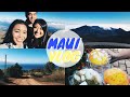 Hello 2019 | MAUI FOR A DAY VLOG🌴🌞