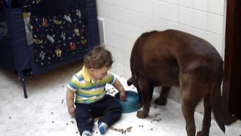 Milo y Luis Antonio comiedo y jugando