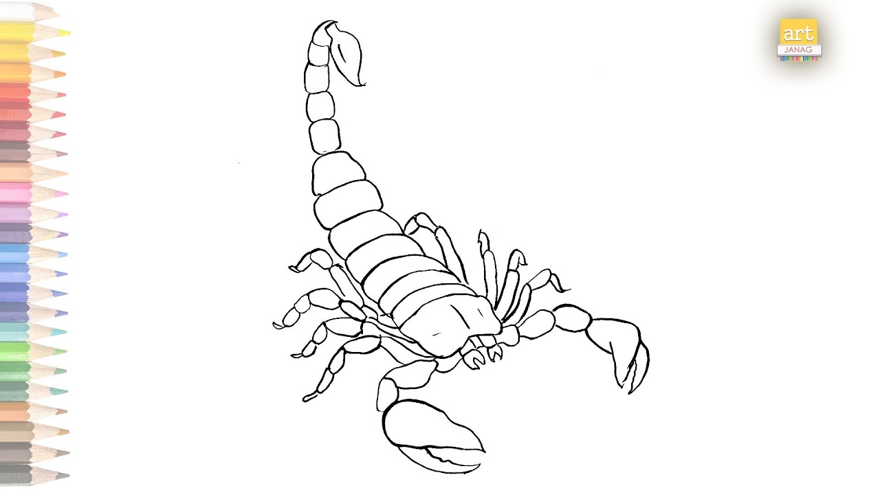 Learn How to Draw Scorpio Zodiac Sign Zodiac Signs Step by Step  Drawing  Tutorials