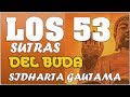 Enseñanzas del BUDA / Los 53 Sutras Del BUDA/ Reflexiones Budistas