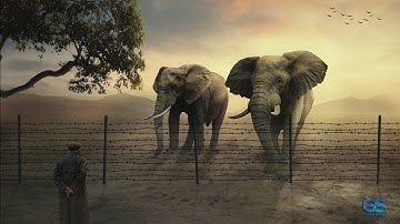 Big Elephant Photo Manipulation Photoshop