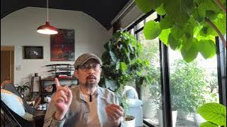 闲聊:中国模式不可持续,从学生争取装空调开始;“南京红姐”能给人什么教训;