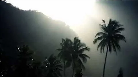 Reef Imaginarium surfing video feat. Rob Machado, ...