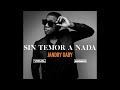 Jandry Gaby - Sin Temor A Nada Feat. Jay C (Audio)