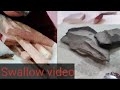 40%swallow video//nakumat // red silety