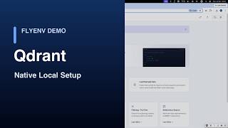 Qdrant Local Setup in FlyEnv | Versions, Config, Logs, and Dashboard