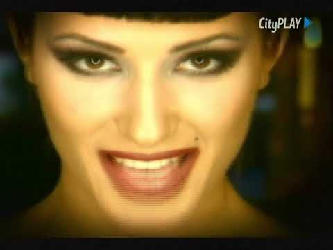 Duck - Pedro