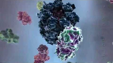 Powering the Cell: Mitochondria (BioVisions) (Official Version)