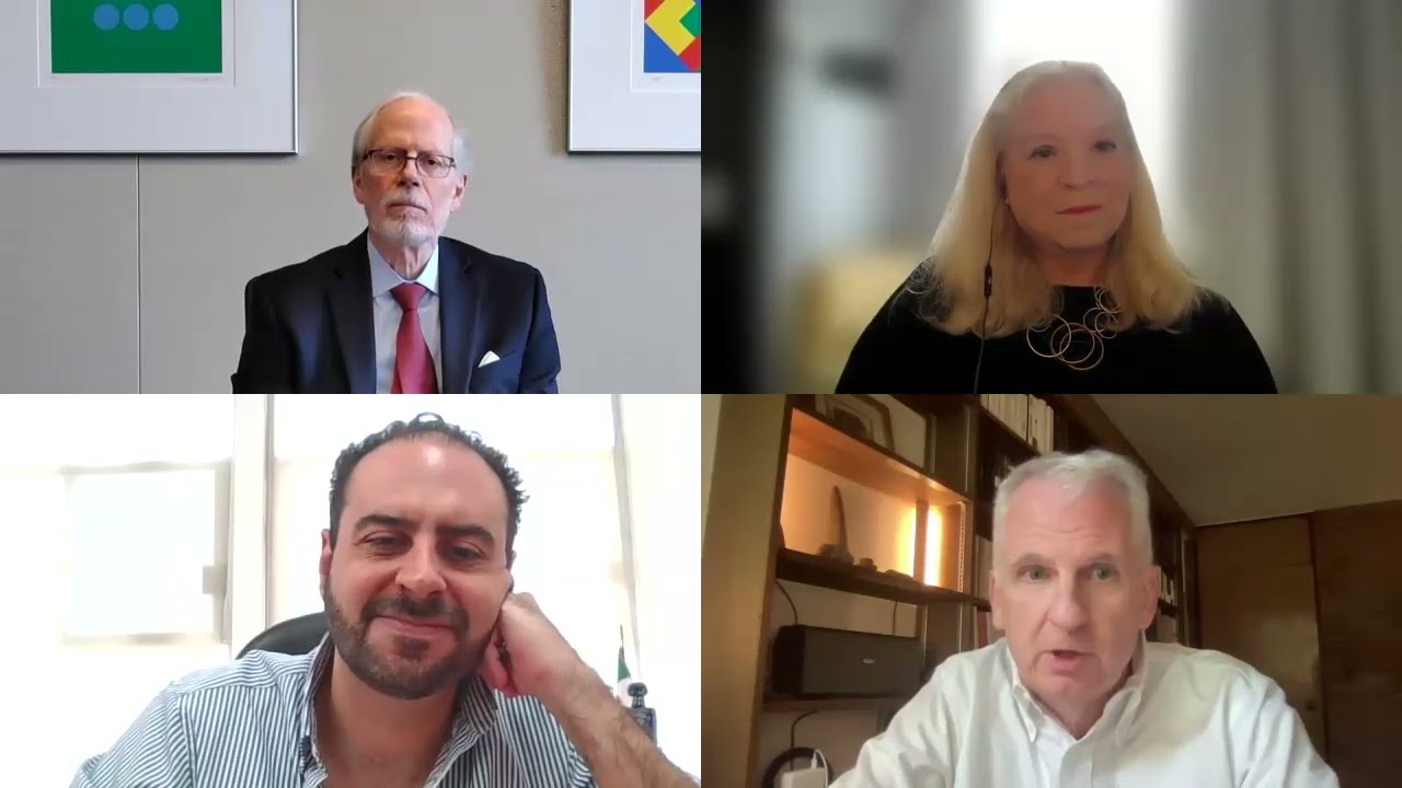 What Can Be Learned from International Perspectives on Autocracy and Democracy?