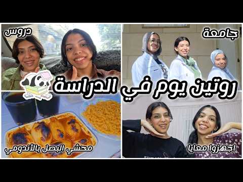 روتين يوم في الدراسة📚| جامعة، دروس، تريند محشي البصل بالأندومي، اجهزوا معايا، واكتر..📚