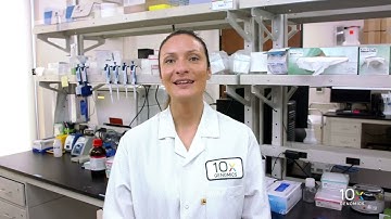 Single Cell ATAC Protocol v2 | Load Chromium Chip H