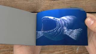 FlipBook | The Bloop 2024 ( found footage )