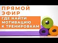 ПРО МОТИВАЦИЮ К ТРЕНИРОВКАМ / ПРЯМОЙ ЭФИР