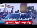 الاهتمام العالمي يتزايد مهرجان المانجو ينعش سوق ملكة الفواكه ويوفر فرص ا كبيرة للتصدير 