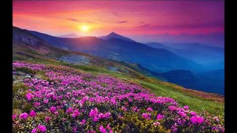 تلاوة خاشعة مؤثرة بصوت الشيخ أبوبكر مومني I ما تيسرمن سورة الأنبياء والشورى