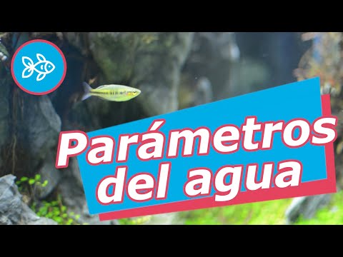 Video: Cómo Medir Parámetros