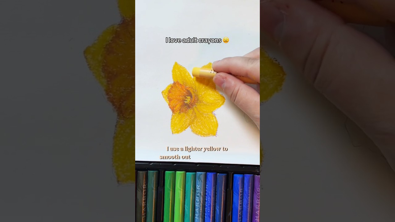 How to Draw: a ✨Daffodil✨ (with oil pastels) 