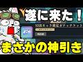 ひたまゆ遂に初心者卒業！【呪術廻戦ファントムパレード】
