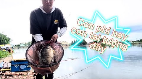 Câu Cá | Lần Đầu Test Hồ Dịch Vụ Huyện Đội Hóc Môn,Cả Hồ Móm Vì Mưa Nhưng Em Ổn | Duy Thế Phan Vlogs